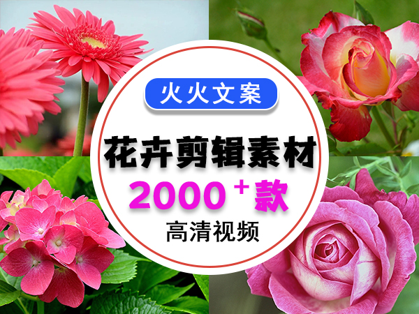 花卉剪辑视频素材包2000+款，不断更新中……插图