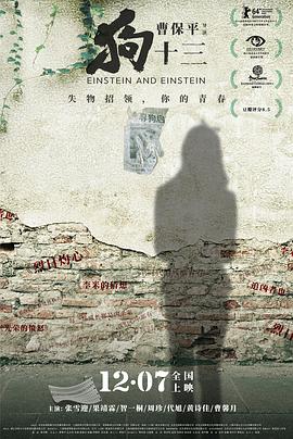 [狗十三][Einstein][&][Einstein][2013][HD1080P][X264][AAC][Mandarin][CHS-ENG]插图