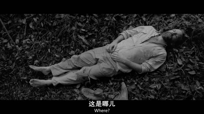 [哥伦比亚][蛇之拥抱][HD-MP4][中英字幕]插图3