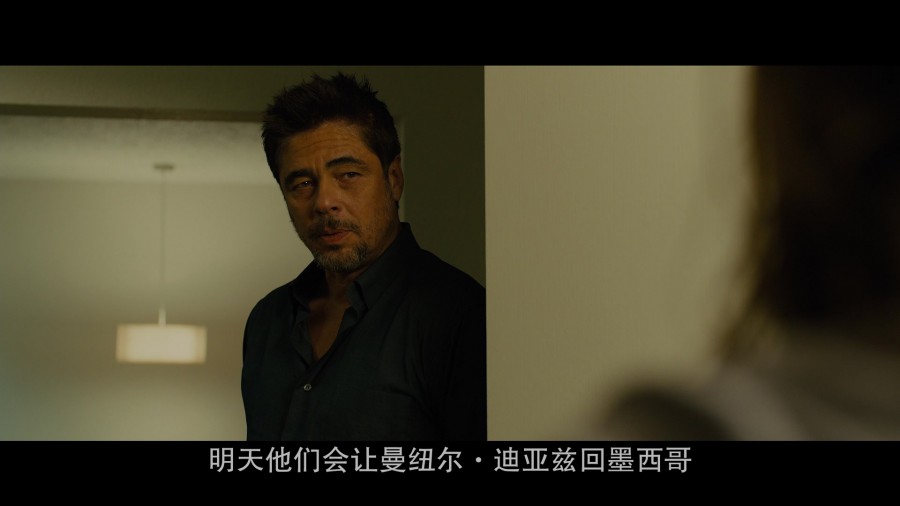 [边境杀手(DIY中字)]Sicario 2015 1080p Blu-ray REPACK AVC TrueHD7.1r-HDS 45.6G插图2