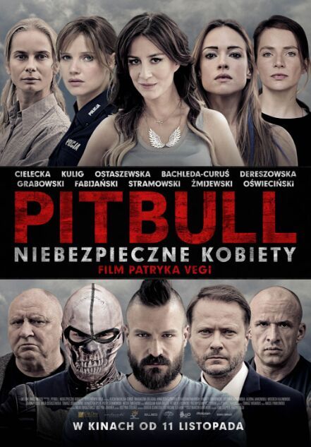 [斗牛犬之女.Pitbull.Tough.Women][BD-MP4][中英双字][1080P]插图