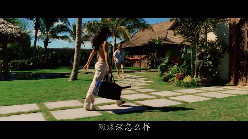 [日落之后(DIY中字)]After the Sunset 2004 1080p Blu-ray AVC DTS-HD MA 5.1 29G插图6