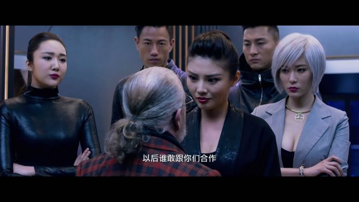 [2016动作/喜剧][王牌逗王牌/偷天特务][1080p超清HD-MKV][国语中字]插图7