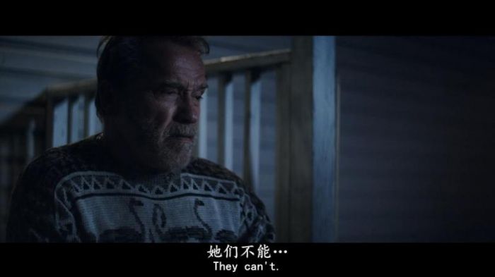 [劫数/空难余波][BluRay-720P.MKV][施瓦辛格2017剧情片][中英字幕]插图2