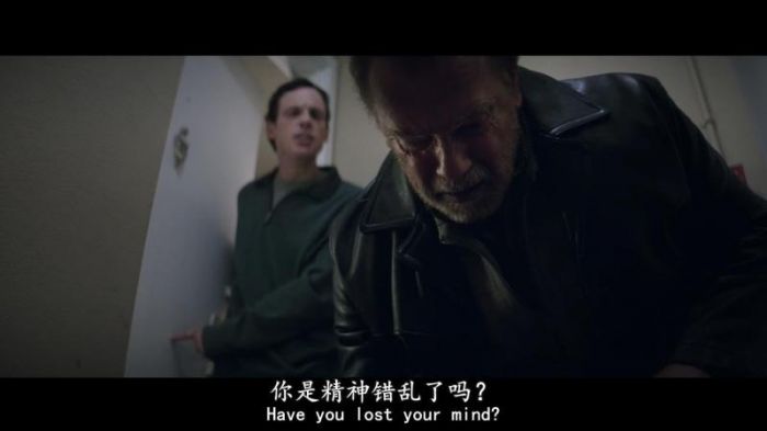 [劫数/空难余波][BluRay-1080P.MP4][施瓦辛格2017剧情片][中英字幕]插图5