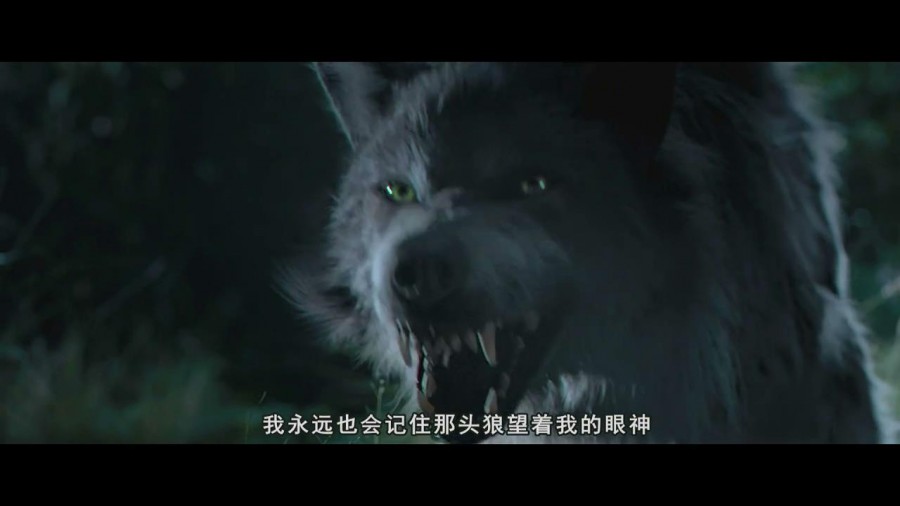 [大陆][杀破狼2.SPL.2.2015][BD-MKV][国语中字]插图2