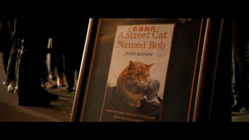 [流浪猫鲍勃][A][Street][Cat][Named][Bob][2016][BD720P][X264][AAC][English][CHS-ENG 2][1GB]插图1