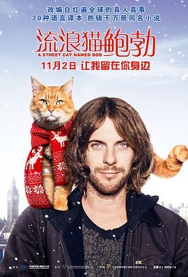 [流浪猫鲍勃][A][Street][Cat][Named][Bob][2016][BD720P][X264][AAC][English][CHS-ENG 2][1GB]插图