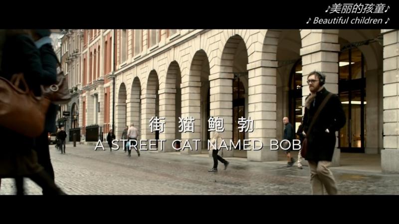 [流浪猫鲍勃][A][Street][Cat][Named][Bob][2016][BD720P][X264][AAC][English][CHS-ENG 2][1GB]插图2