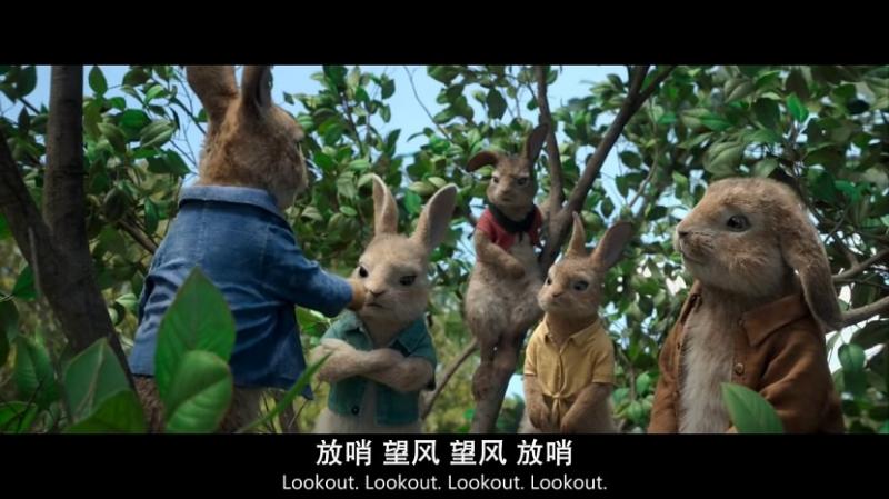 [比得兔][特效中英字幕][Peter][Rabbit][2018][BD720P][X264][AAC][English&Mandarin&Cantonese&Taiwanese][CHS-ENG 2][29GB]插图3