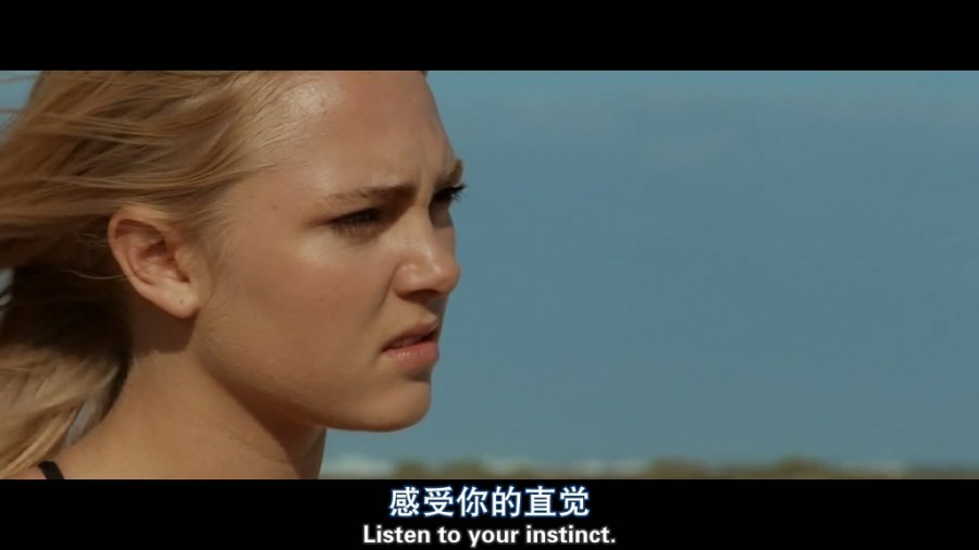 《灵魂冲浪》(Soul Surfer)人人影视出品中英双语字幕[HR-HDTV,RMVB,掌上设备]插图