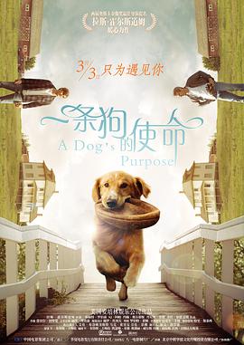 [一条狗的使命][A][Dogs][Purpose][2017][BD720P][X264][AAC][English&Mandarin][CHS-ENG]插图