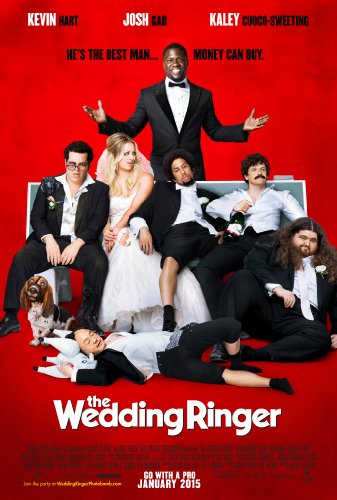 定制伴郎.The.Wedding.Ringer.2015.720p.Chi_Eng.BD-MP4.中英文字幕插图