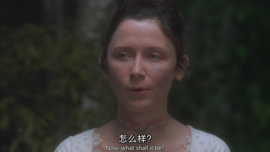 《乱世儿女》(乱世儿女)中英双语字幕[HR-HDTV]插图1