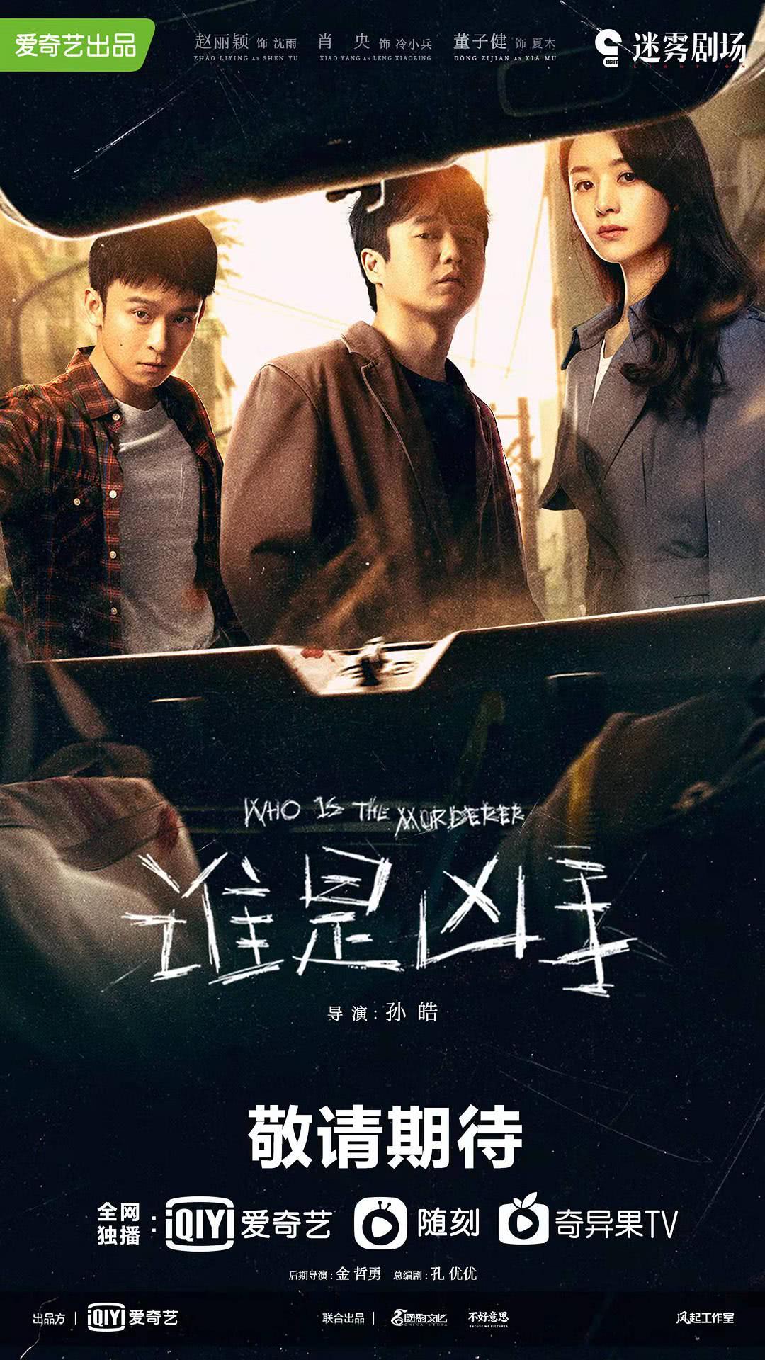 2021赵丽颖悬疑剧《谁是凶手/未知罪》全集 HD1080P 高清迅雷下载插图