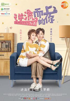 [逆流而上的你][EP01-EP12][2019][HD1080P][X264][AAC][Mandarin][CHS]插图