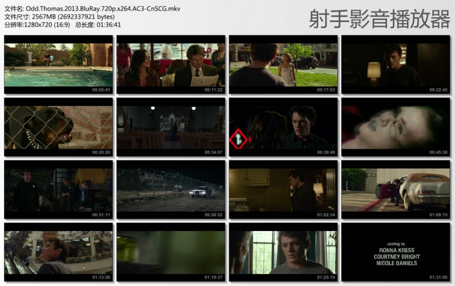 [小镇怪客托马斯]Odd.Thomas.2013.BluRay.720p.x264.AC3-CnSCG[中英字幕][BT电影下载]插图1