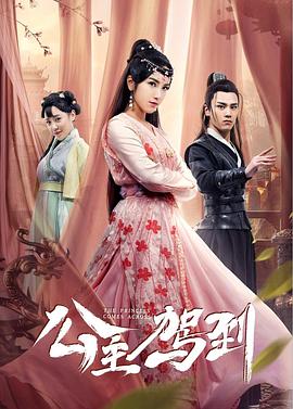 [公主驾到][EP01-EP08][2019][HD1080P][X264][AAC][Mandarin][CHS]插图