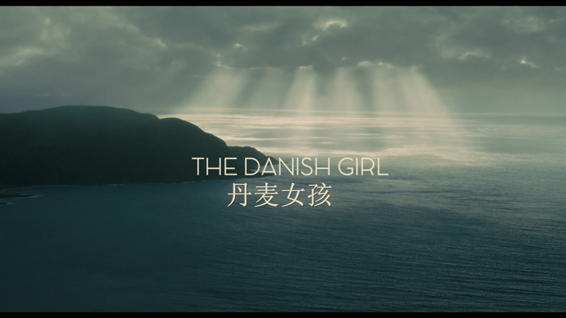 丹麦女孩The.Danish.Girl.2015.BD.1080P.x264.AAC.CHS.ENG-BDMKV[含百度云链接]插图1