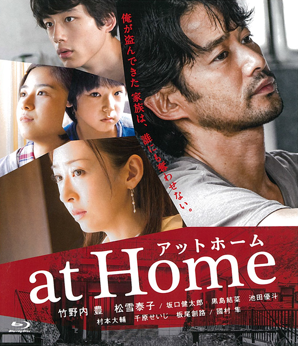 [欺诈计划]At Home 2015 1080p BluRay x264 DTS-WiKi 中文字幕插图