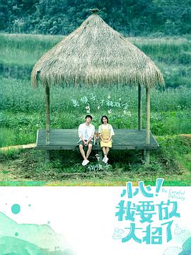 [小心我要放大招了][12集全][2018][HD1080P][X264][AAC][Mandarin][CHS 5][5GB]插图