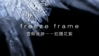 [BBC冰冻星球(国英)]BBC.Frozen.Planet.2011.BluRay.1080p.x264.DTS-CnSCG[中英字幕]插图5